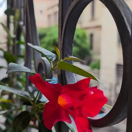 Art Palace Center Apartment Catania